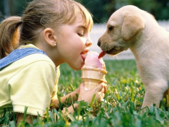 Pet infection